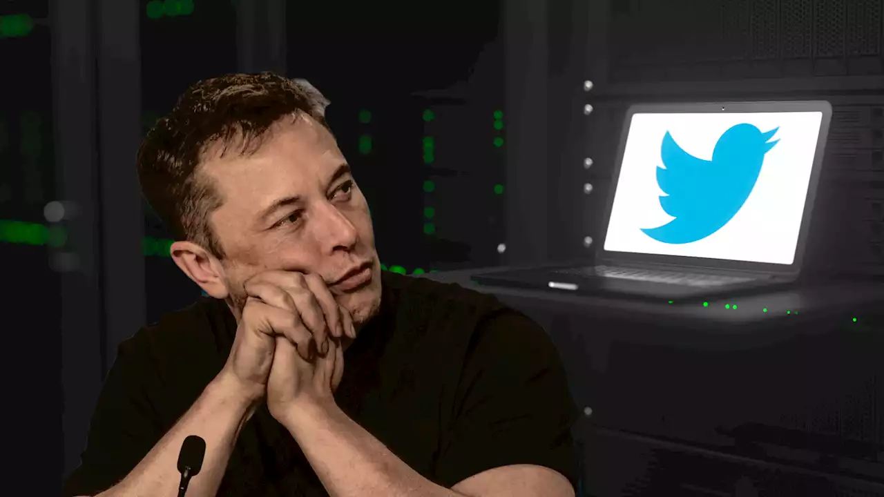 BREAKING: Elon Musk Will Proceed with Twitter Deal After All, Bloomberg Reports | CoinMarketCap