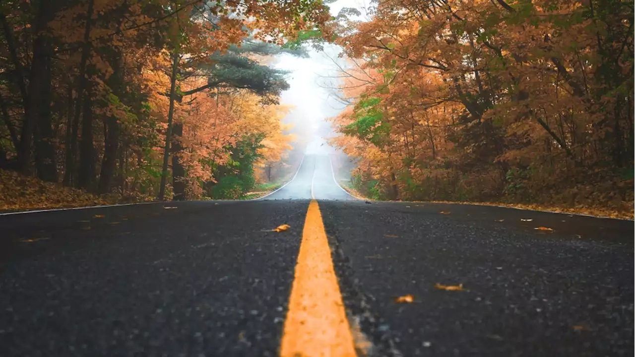 Trying to save money? Here's how to save up to 50% on auto insurance
