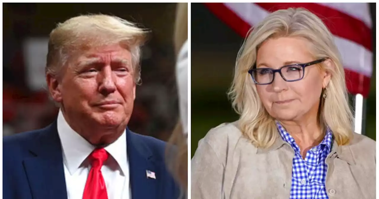 'Absolutely despicable': Liz Cheney unloads on Trump attack of McConnell and wife