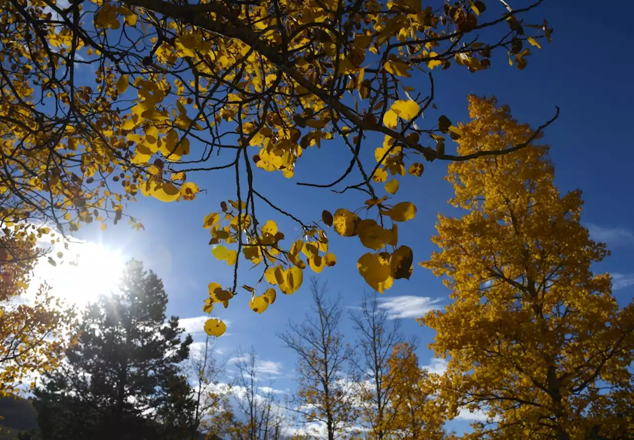 Denver weather: Mostly sunny and cooler Tuesday ahead