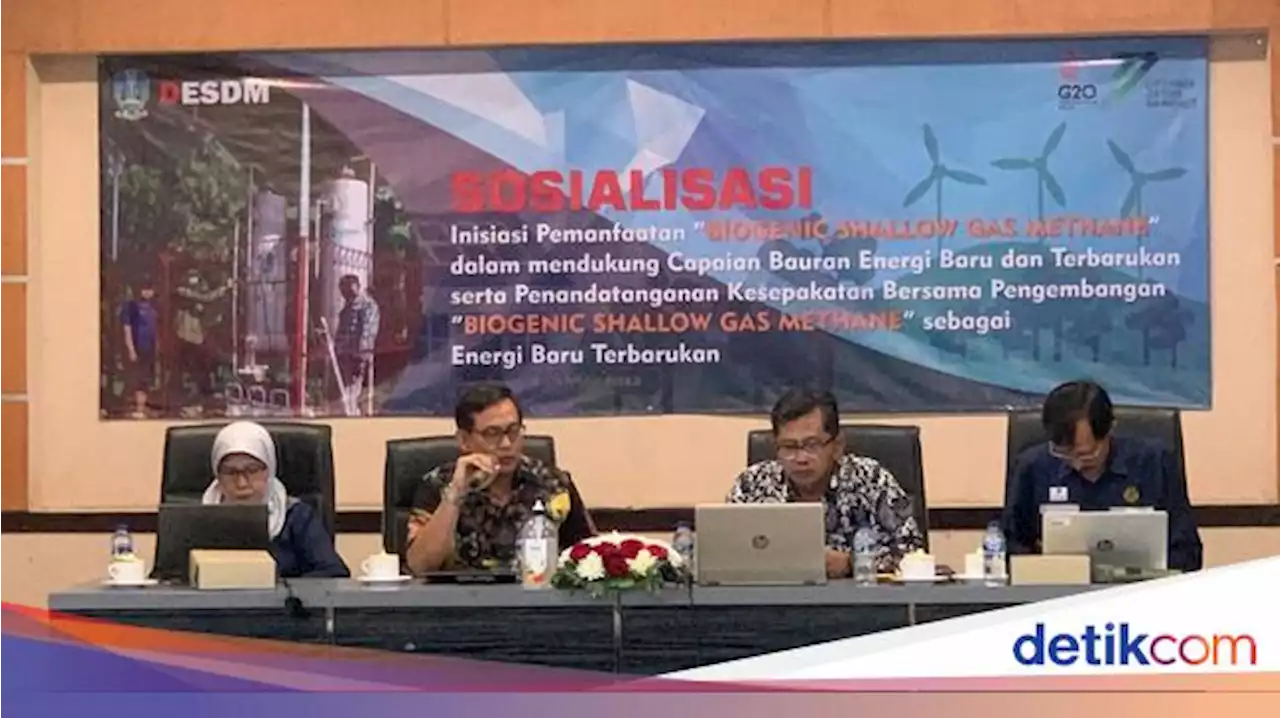 Jatim Punya Potensi Gas Rawa untuk Subtitusi Elpiji