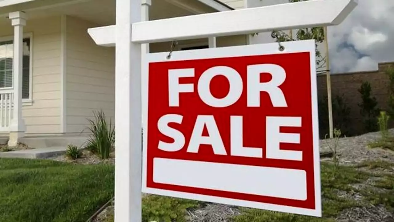 County home sales plummet