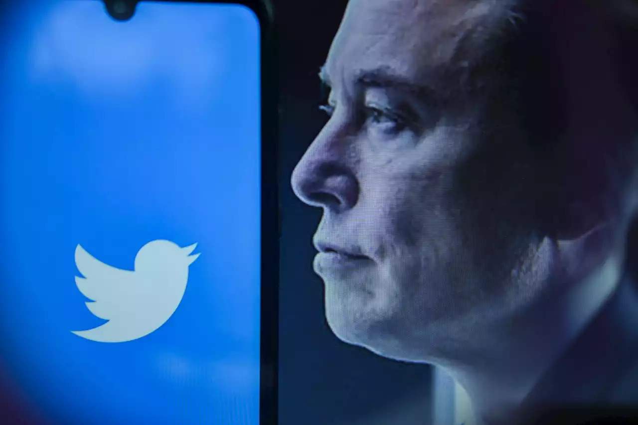 Twitter - Unternehmer Musk will Online-Dienst jetzt doch kaufen