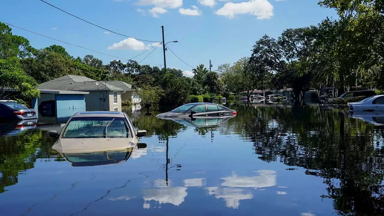 Hurricane Ian has insurance crime experts warning car-buyers over flood-damaged vehicles