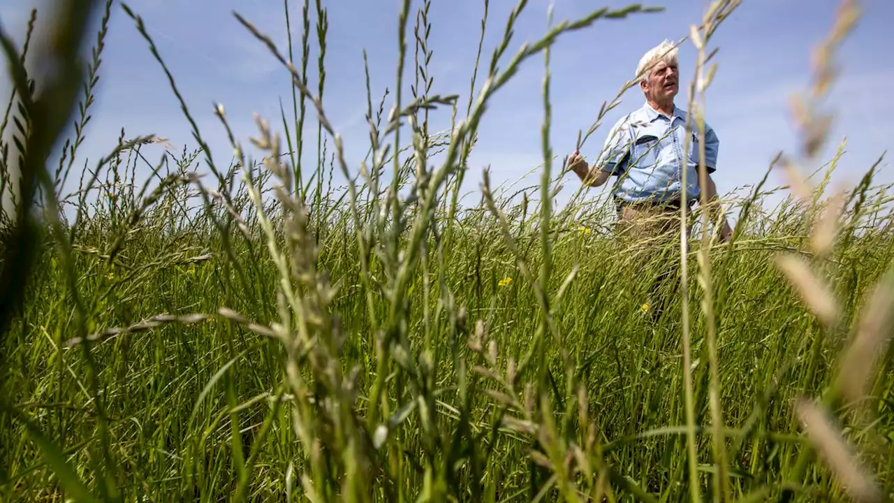 A wetter world is changing farm country. Can growers adapt?