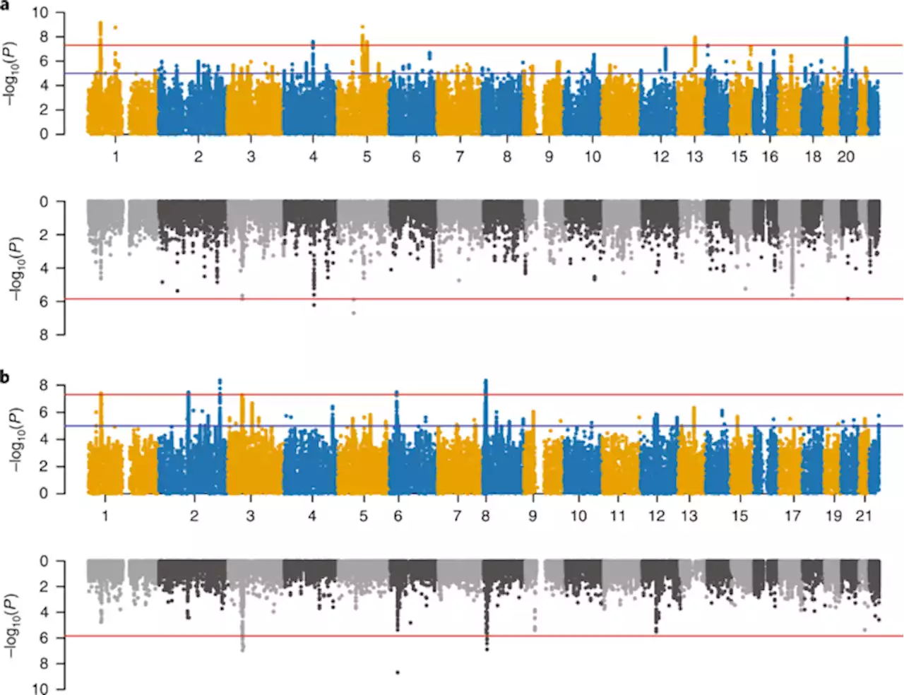 Identification of shared and differentiating genetic architecture for autism spectrum disorder, attention-deficit hyperactivity disorder and case subgroups - Nature Genetics