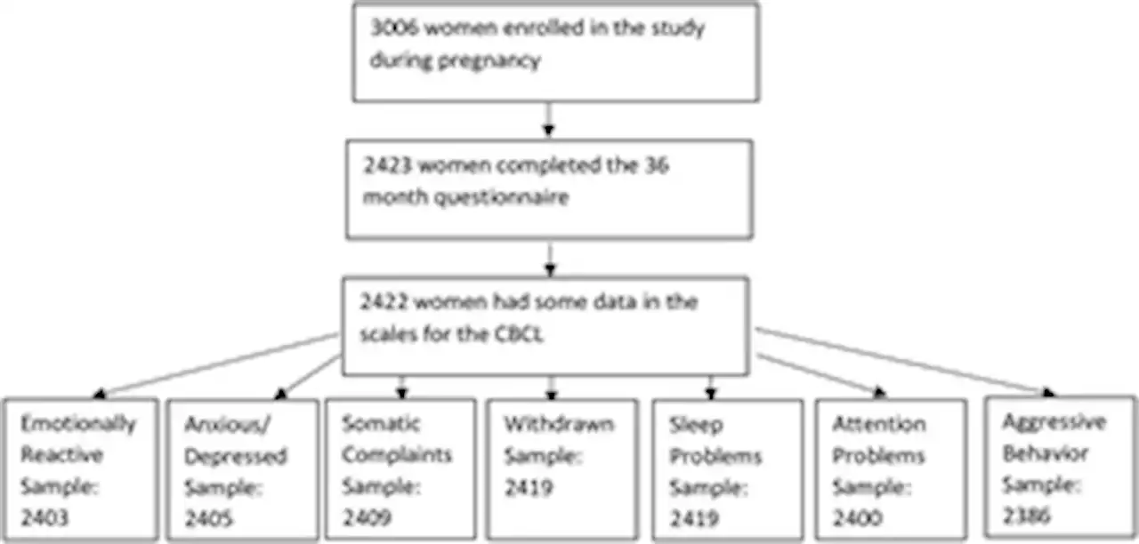 Maternal use of acetaminophen during pregnancy and neurobehavioral problems in offspring at 3 years: A prospective cohort study