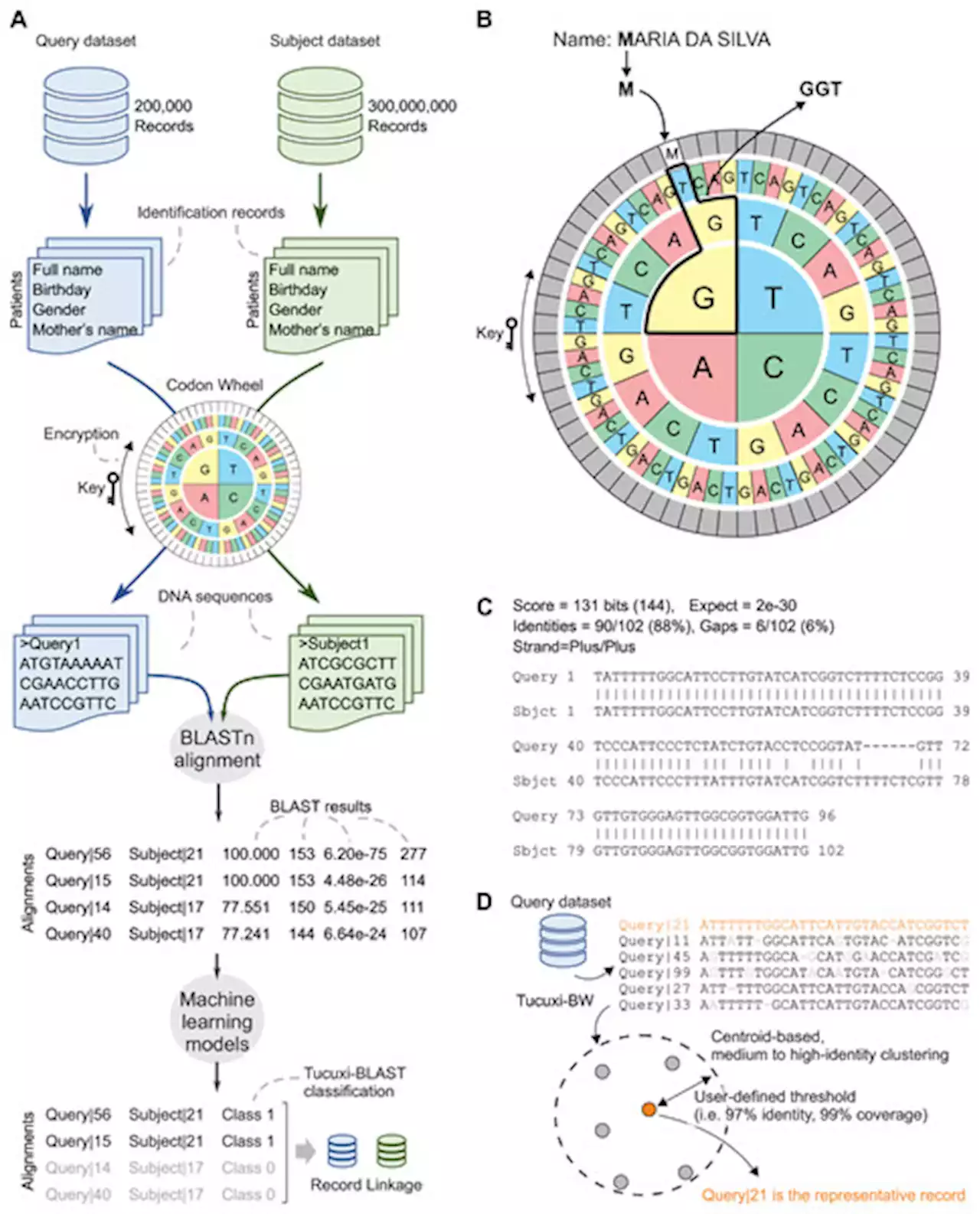 Tucuxi-BLAST: Enabling fast and accurate record linkage of large-scale health-related administrative databases through a DNA-encoded approach