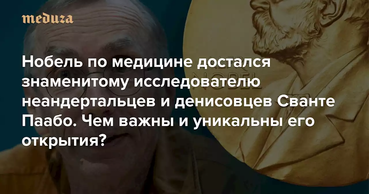 Нобелевскую премию по медицине получил исследователь неандертальцев и первооткрыватель нового вида людей Объясняем, чем важны для медицины уникальные открытия Сванте Паабо — Meduza