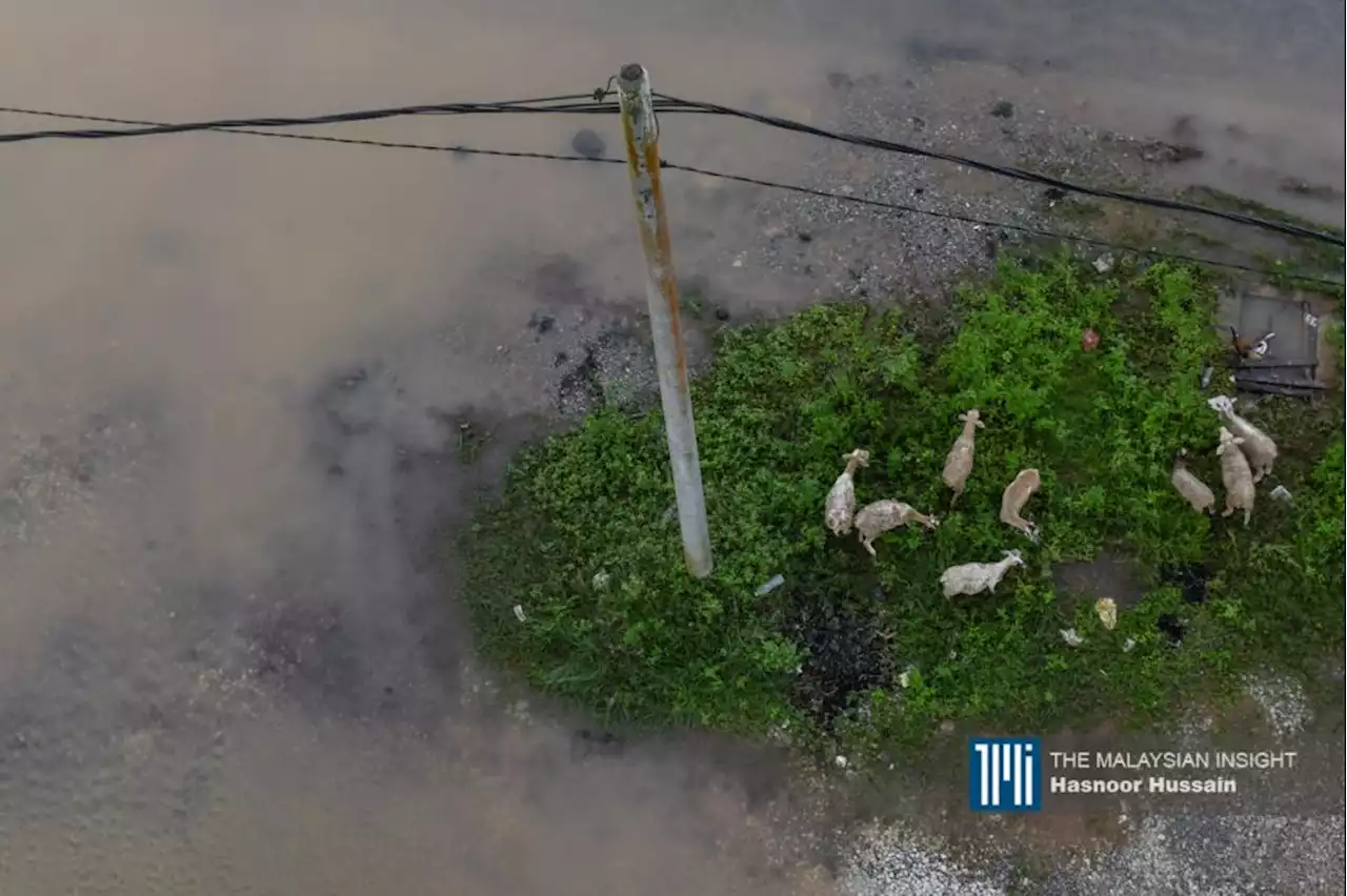 Bomba Terengganu kenal pasti 192 lokasi berisiko banjir | The Malaysian Insight