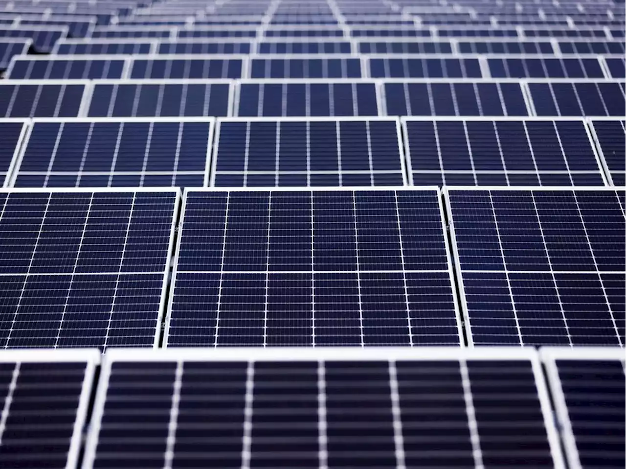 Pipeline giant TC Energy to build $146-million solar farm in southern Alberta