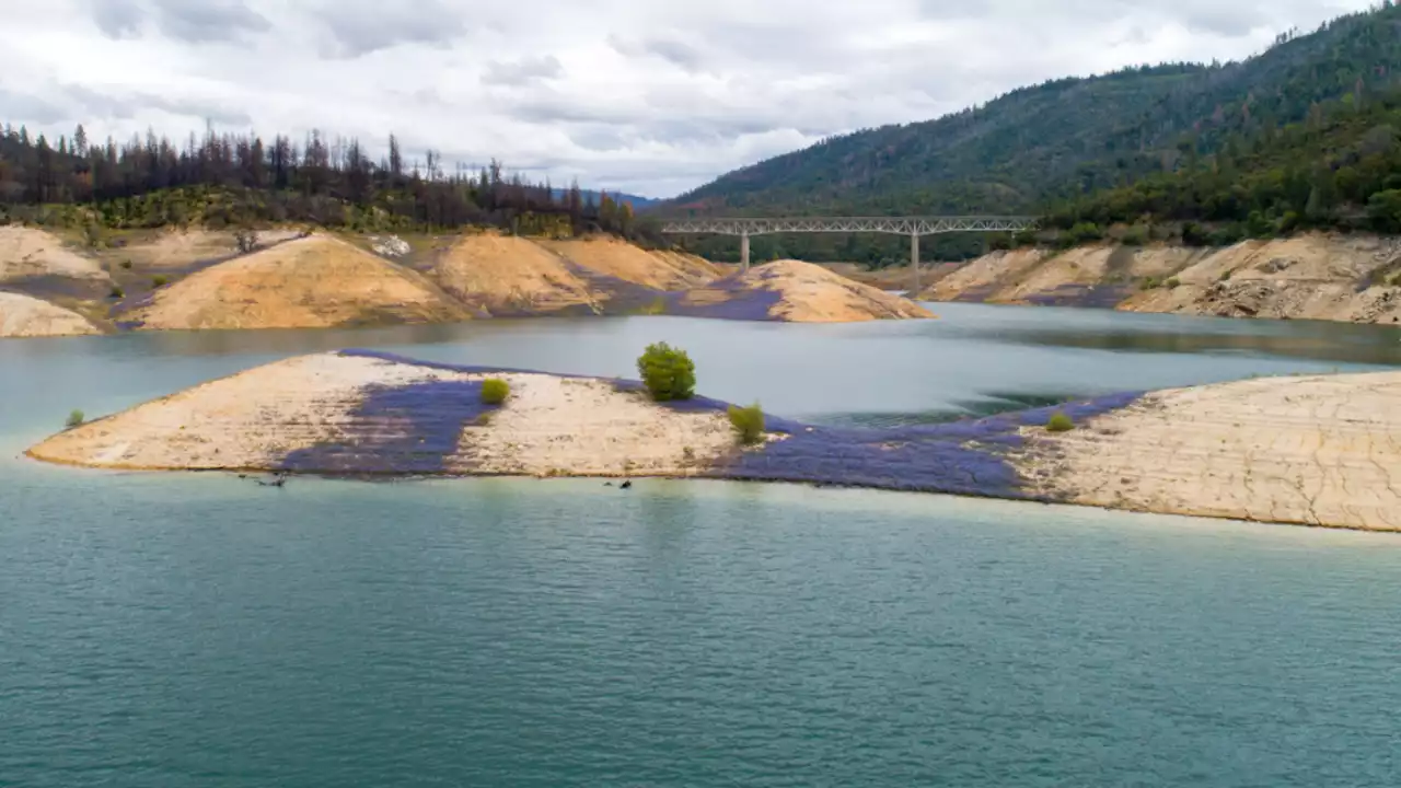 Bay Area Has Had ‘Close to Normal' Rain Over the Last Year Compared to Most of CA