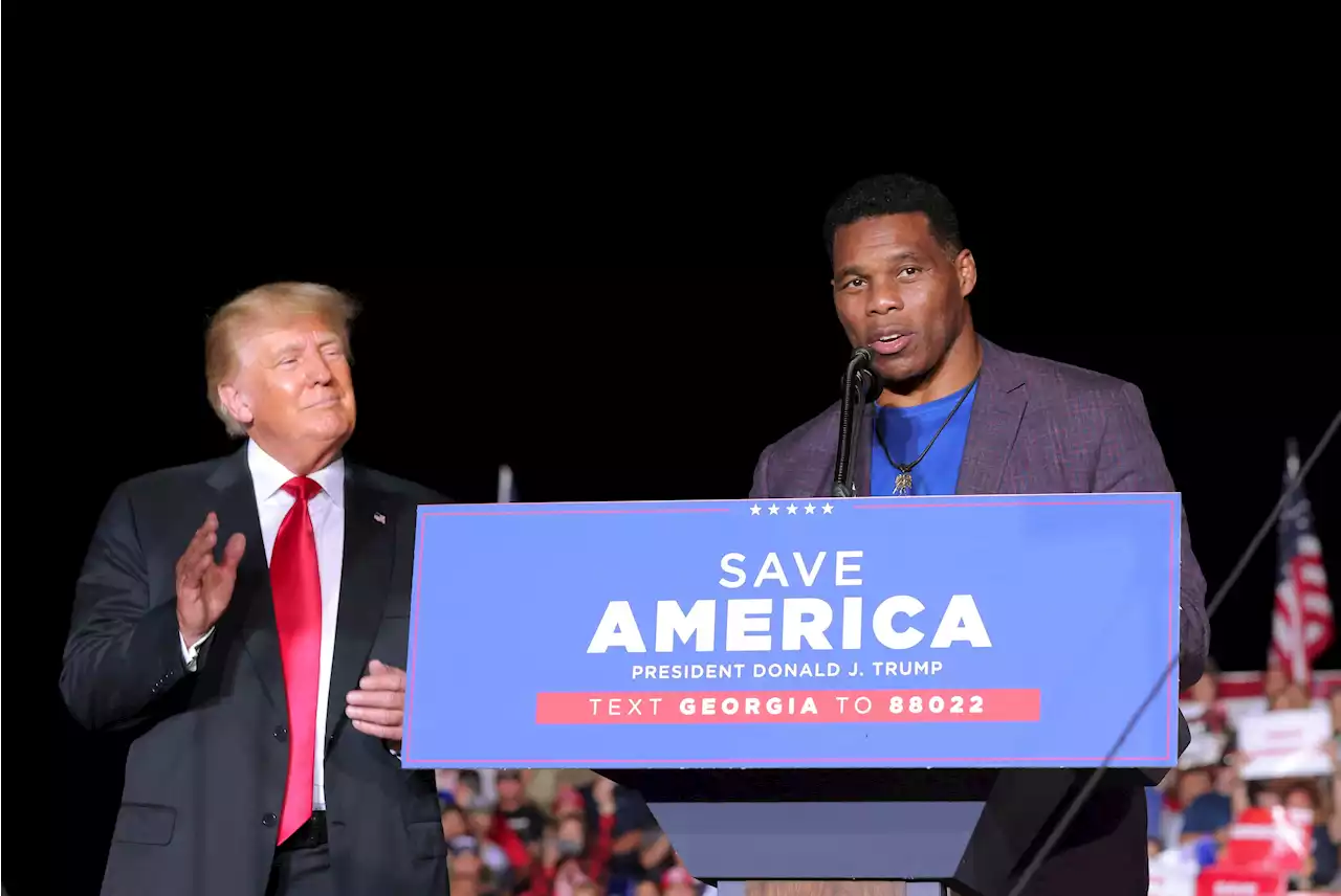 Georgia Senate GOP Candidate Herschel Walker Denies Paying for Abortion — Son Says He ‘Threatened to Kill Us'