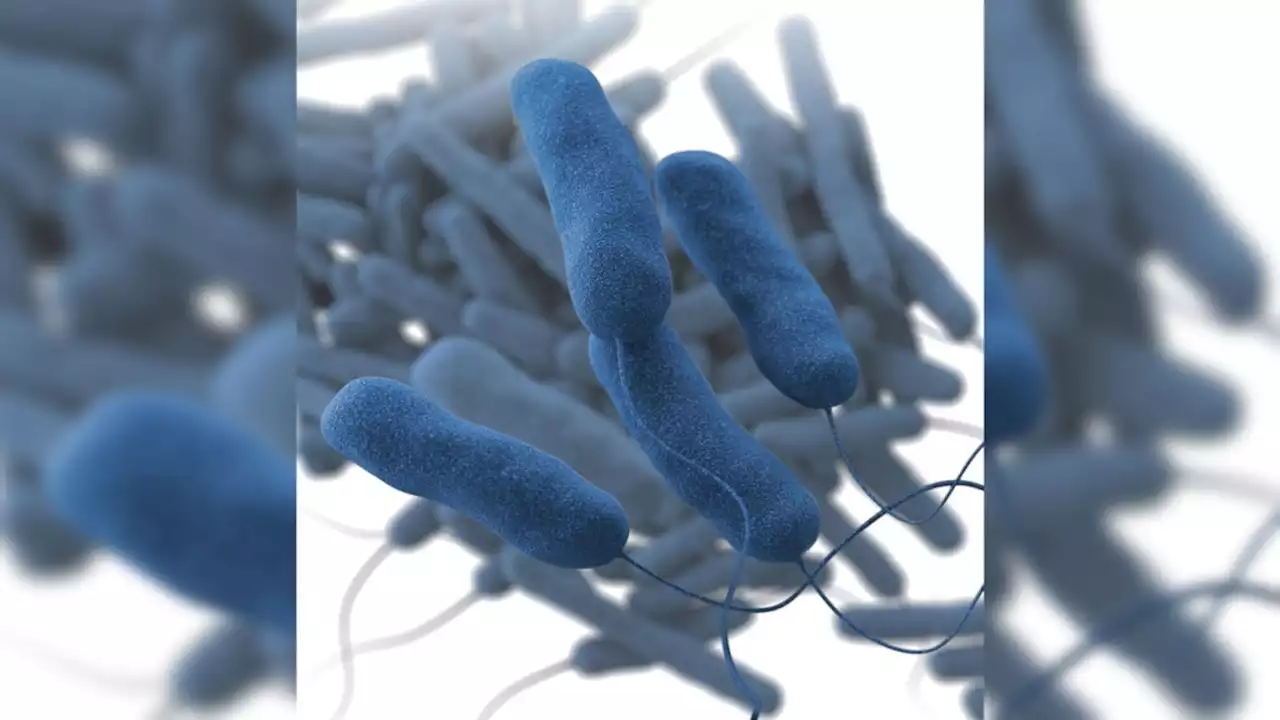 1 Dead in New Vermont Legionnaires' Disease Outbreak