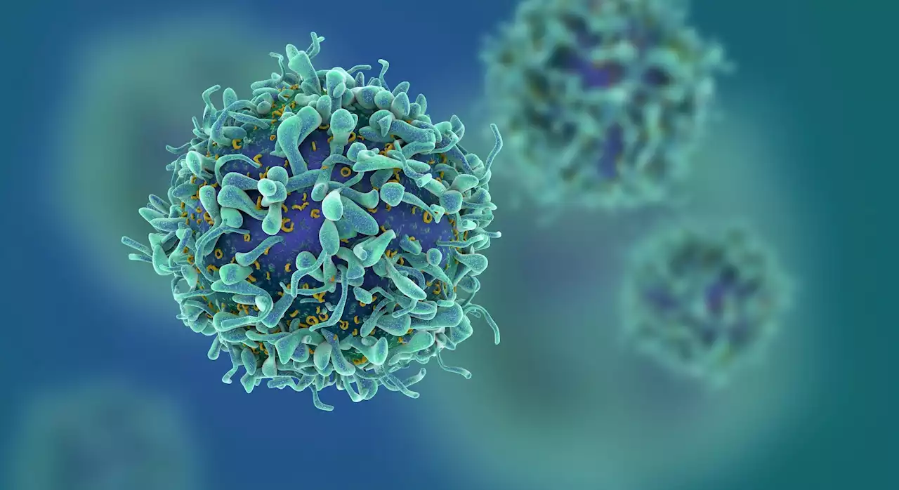 Small antiviral molecules termed assembly modulators show therapeutic efficacy against cancer