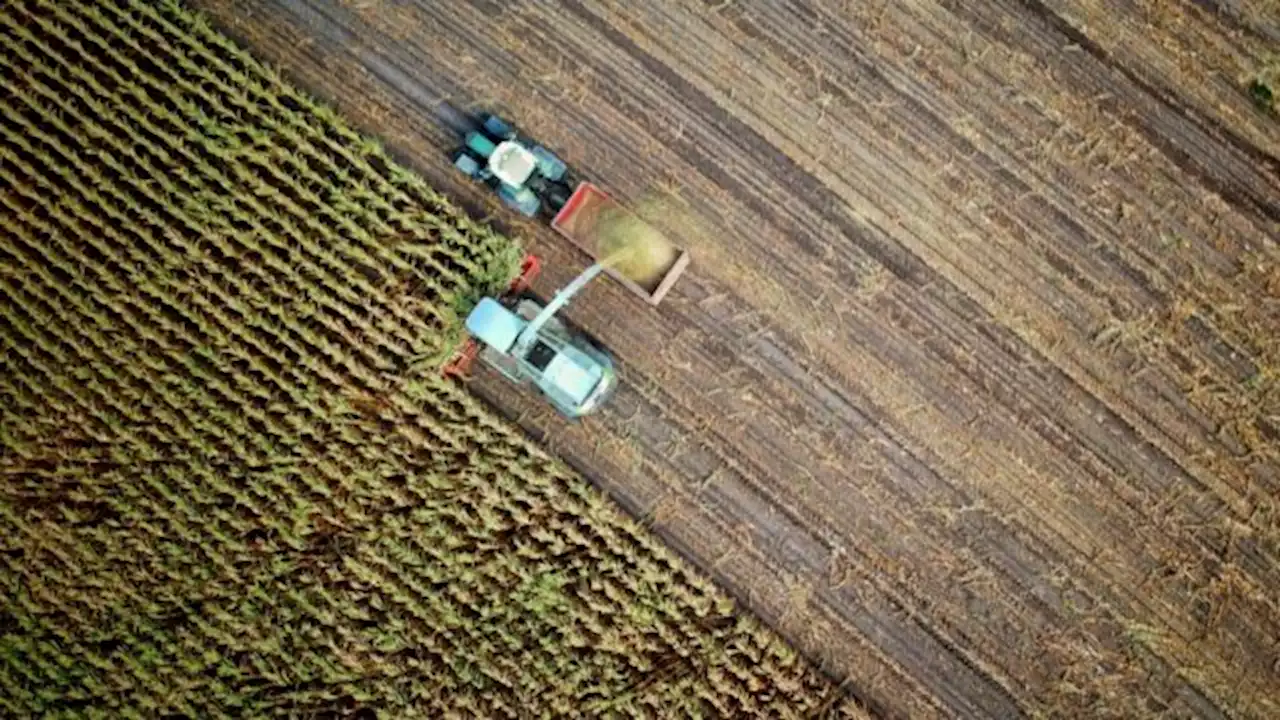 Rapport Remkes: hoe gaan we de landbouw in Nederland veranderen?