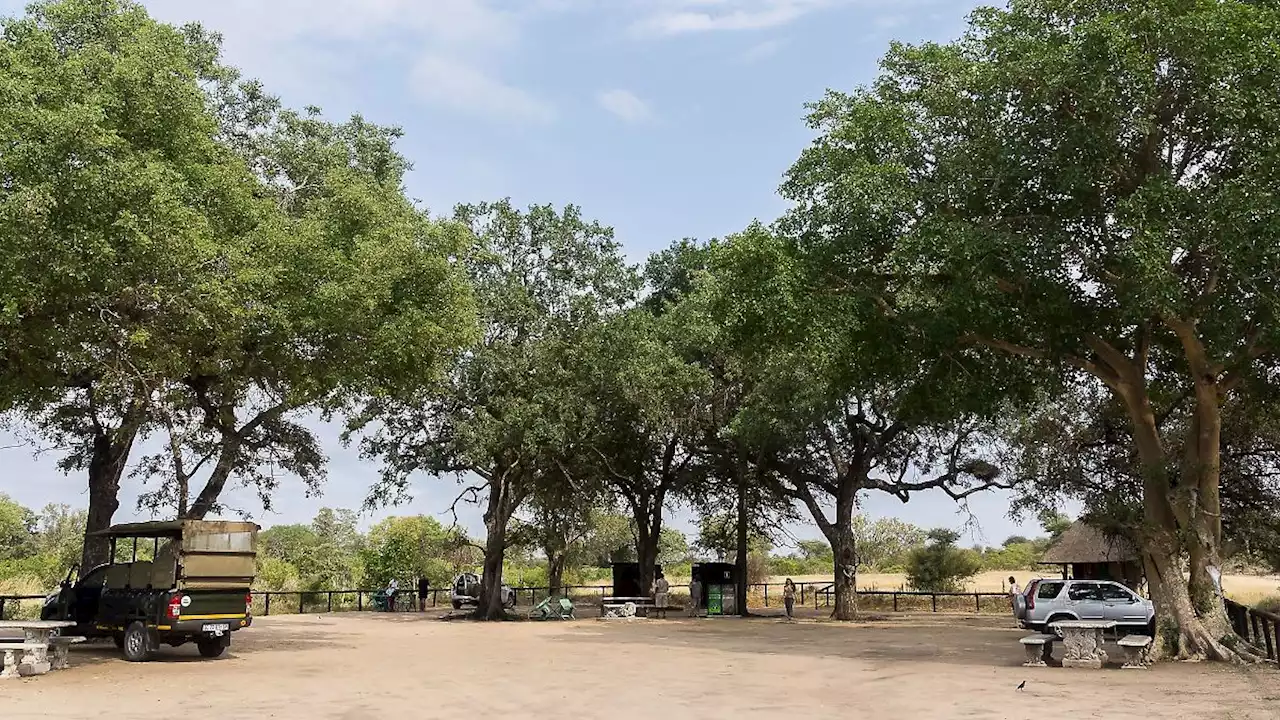 Deutscher Tourist bei Überfall vor Kruger-Nationalpark getötet