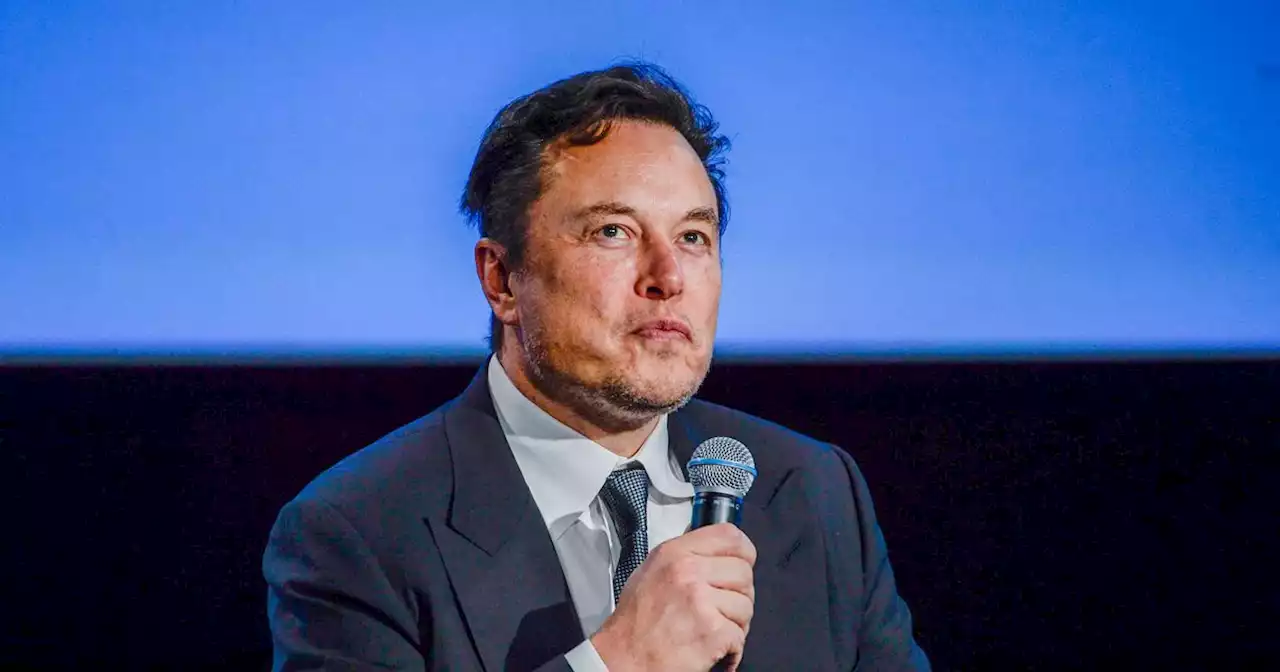 Did Elon Musk Give Up Because His Silicon Valley Friends Were Humiliated?