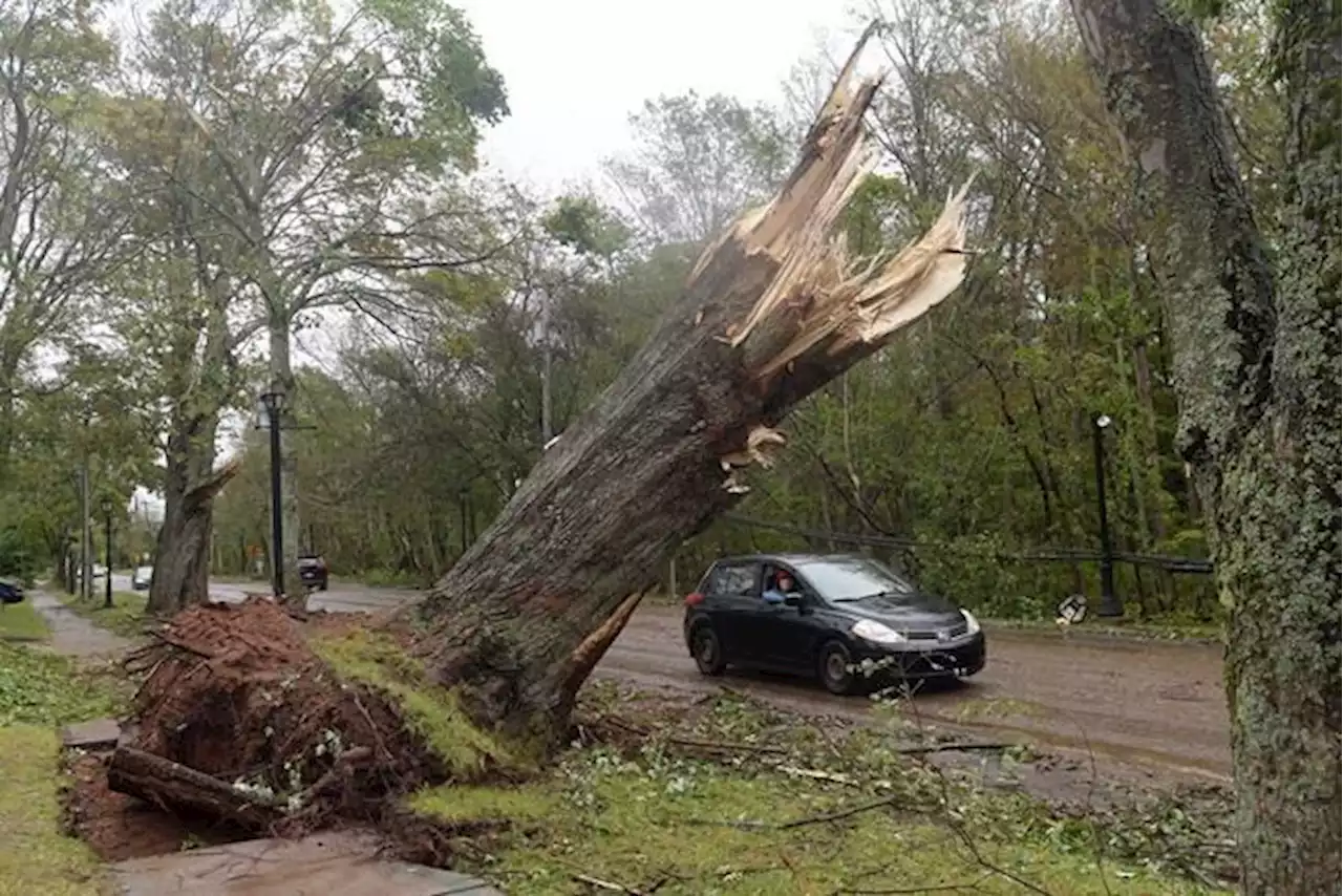 Nine days after Fiona, P.E.I. residents without power alarmed at pace of response