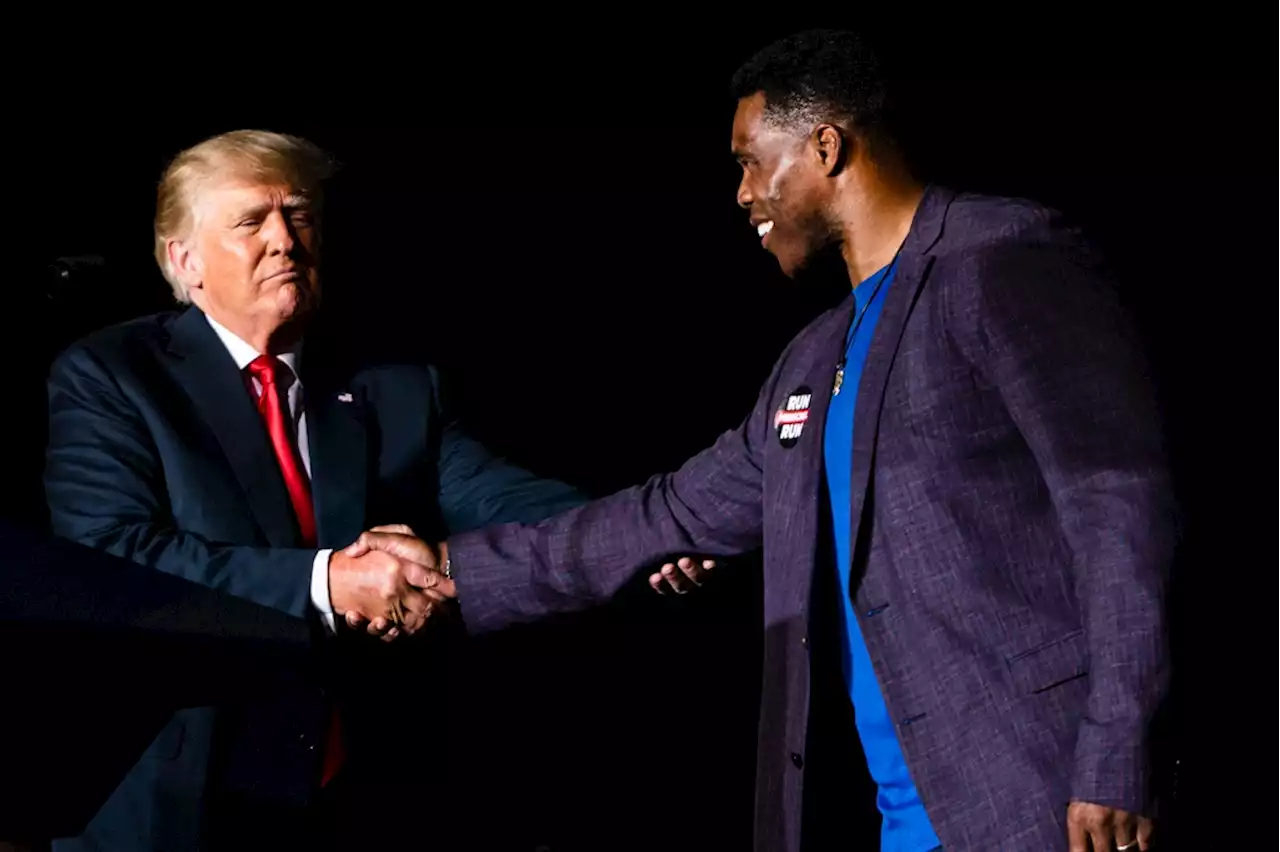 Trump Tries to Shift Focus to Herschel Walker's Future Following Abortion Payment Report