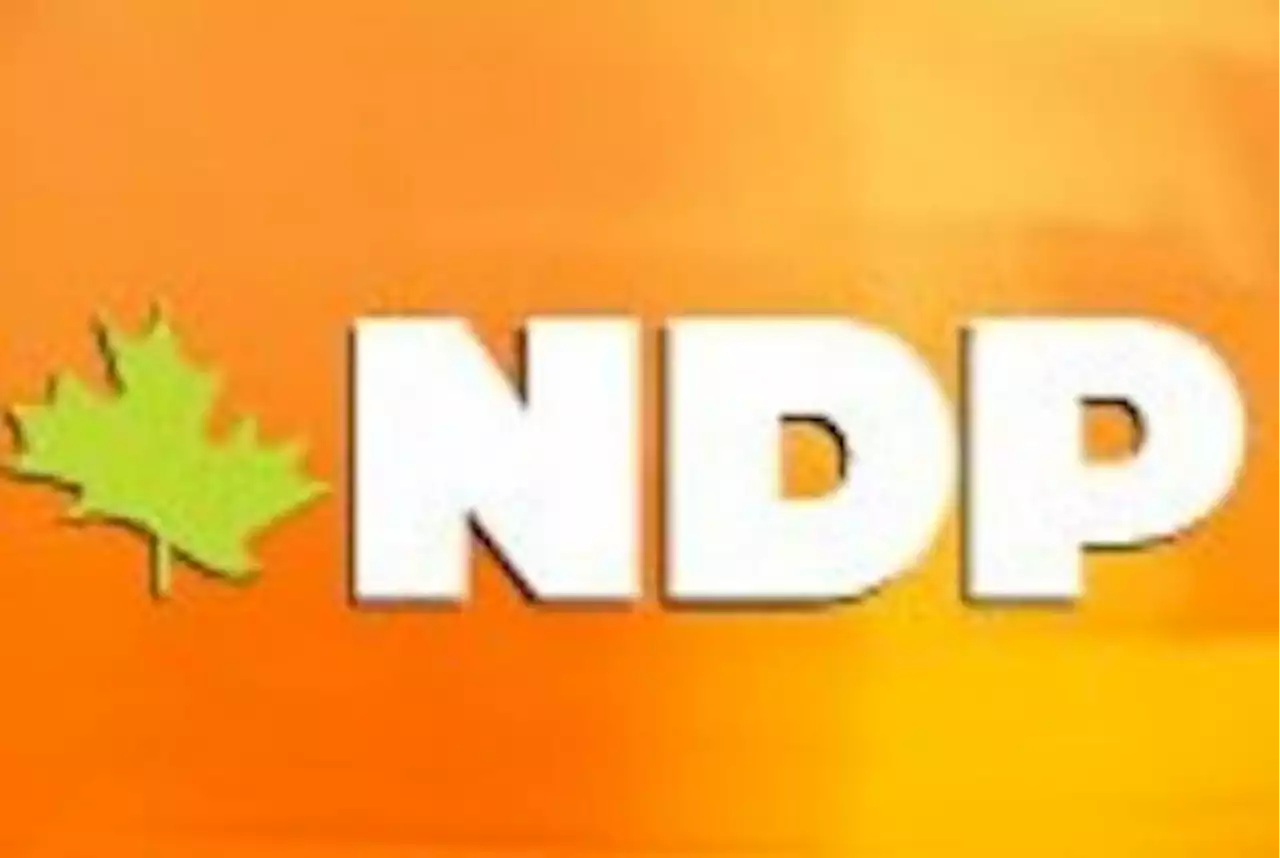 Newfoundland and Labrador NDP names Amanda Will as new chief of staff | SaltWire