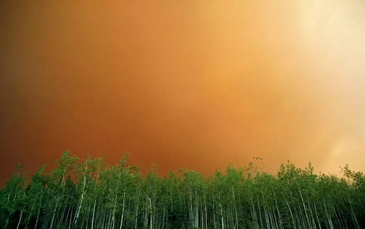 How Stopping Alaskan Wildfires Can Slow Climate Change