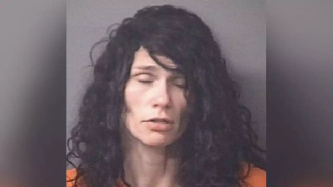 North Carolina Woman Accused of Trying to Castrate Stepson