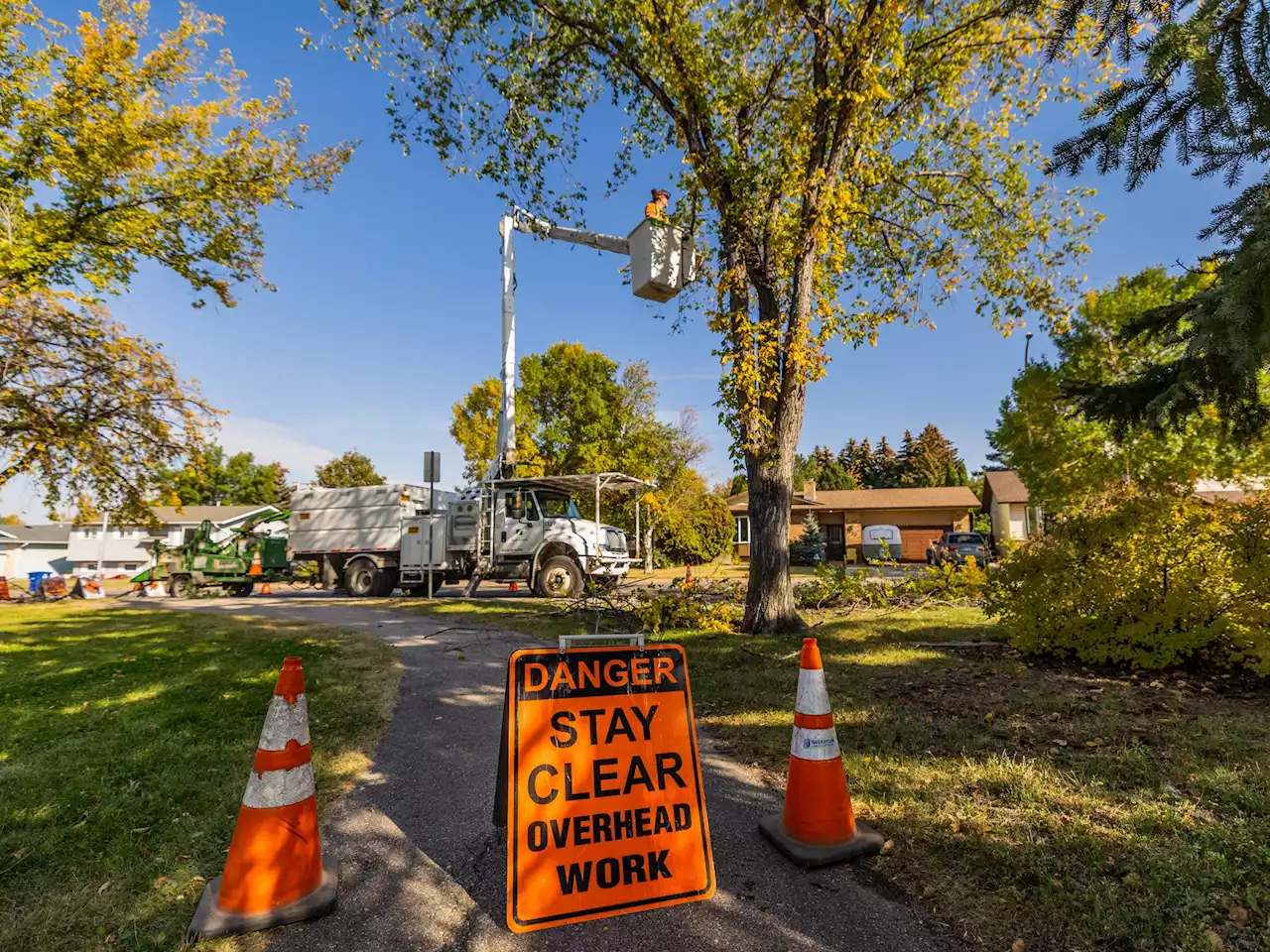 Committee backs forestry plan, endorses $640K plan for green cart program