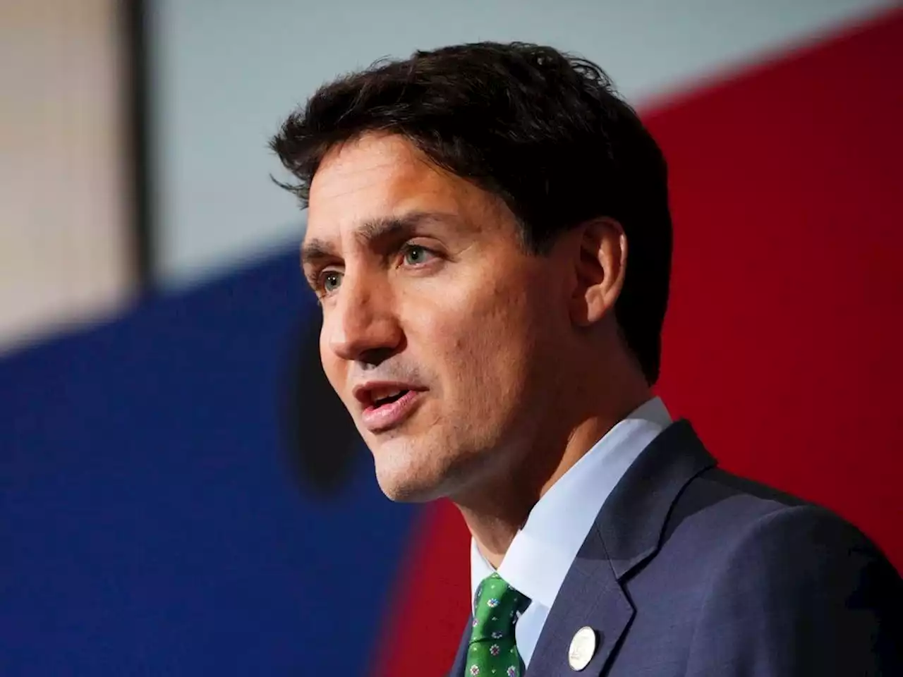 FUREY FACTOR: Trudeau Liberals go after critics of Internet censorship law