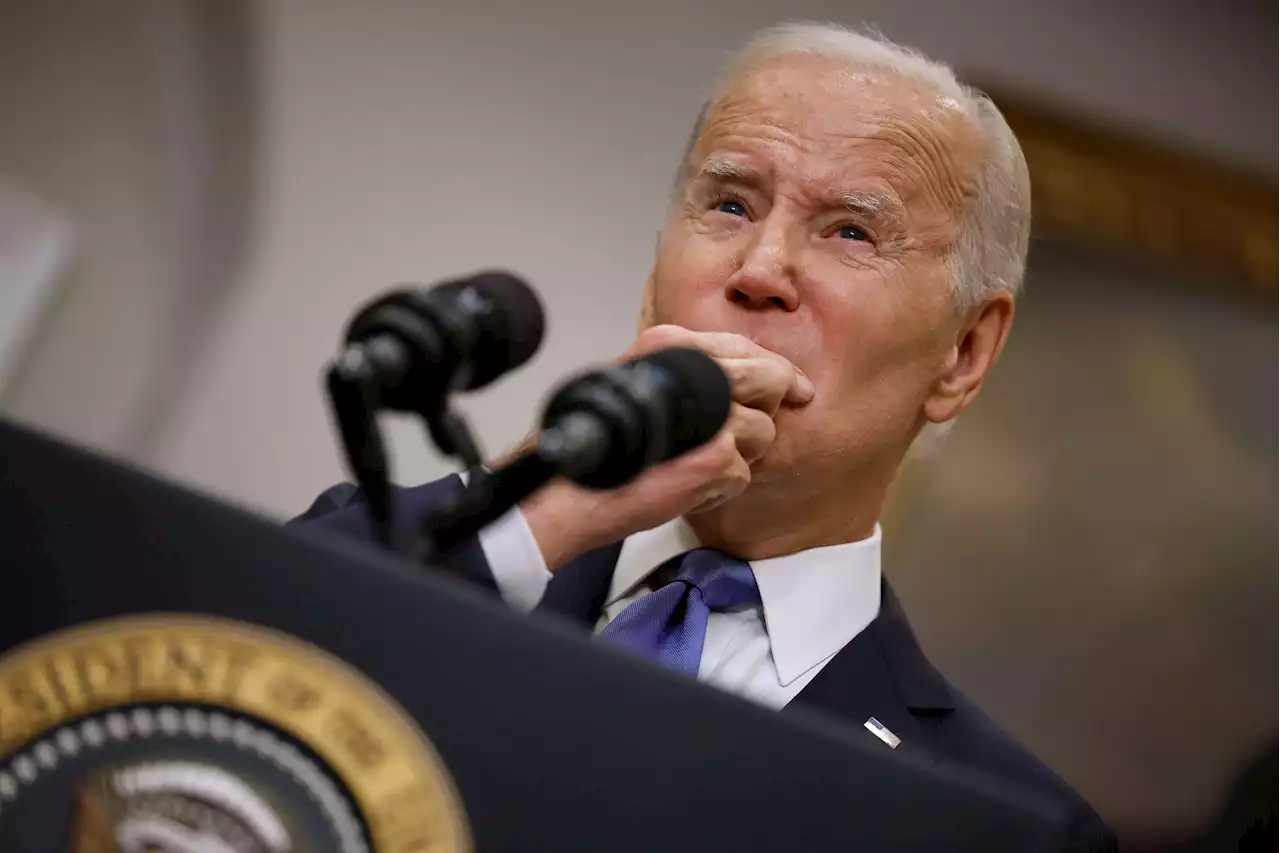 Report: Joe Biden Told Al Sharpton He's Running for President in 2024