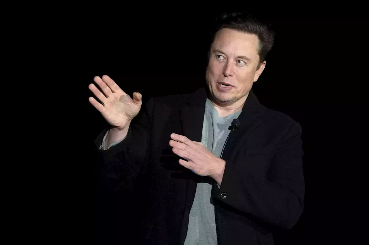 Elon Musk tweets ‘peace plan’ for Ukraine. Chaos ensues.