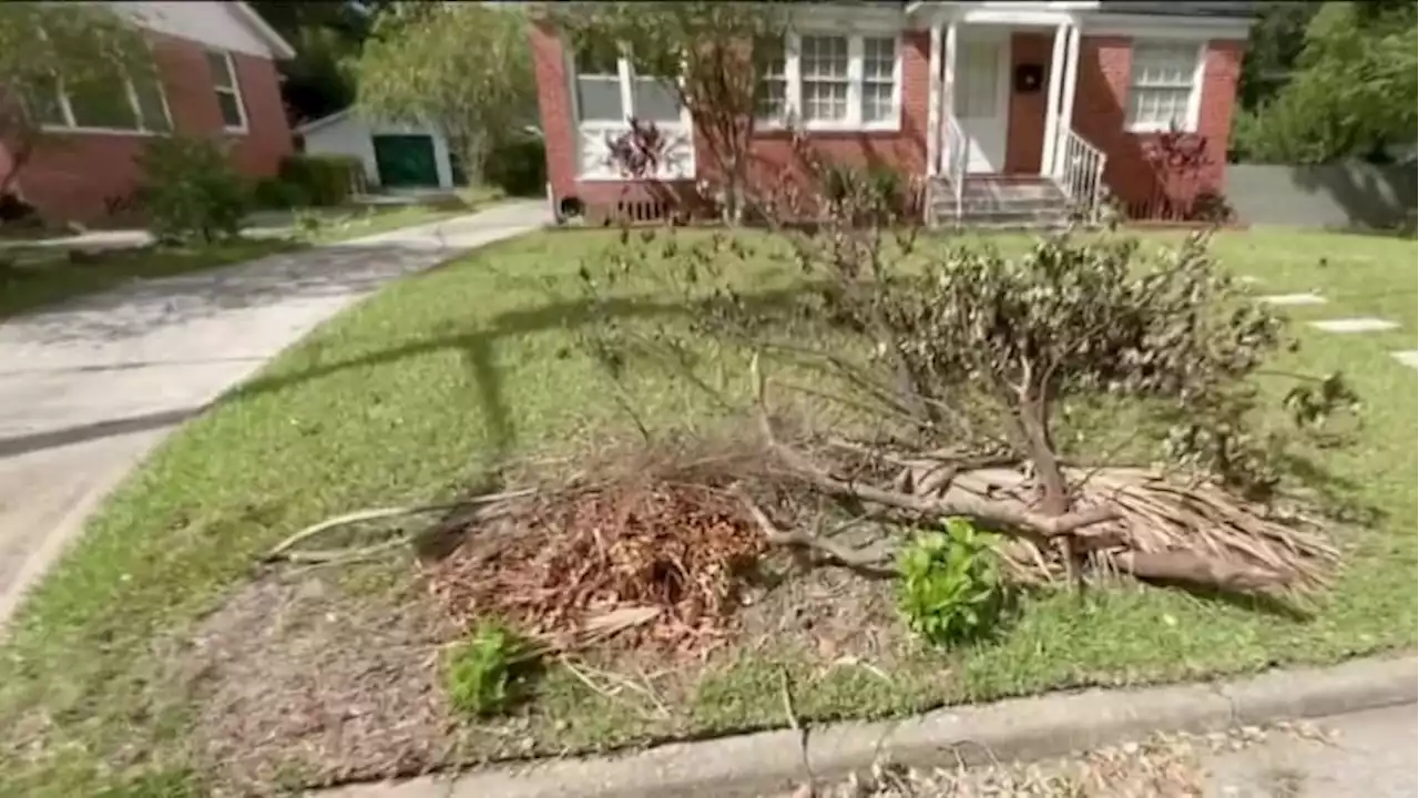 County by county: How to get rid of storm debris in Northeast Florida