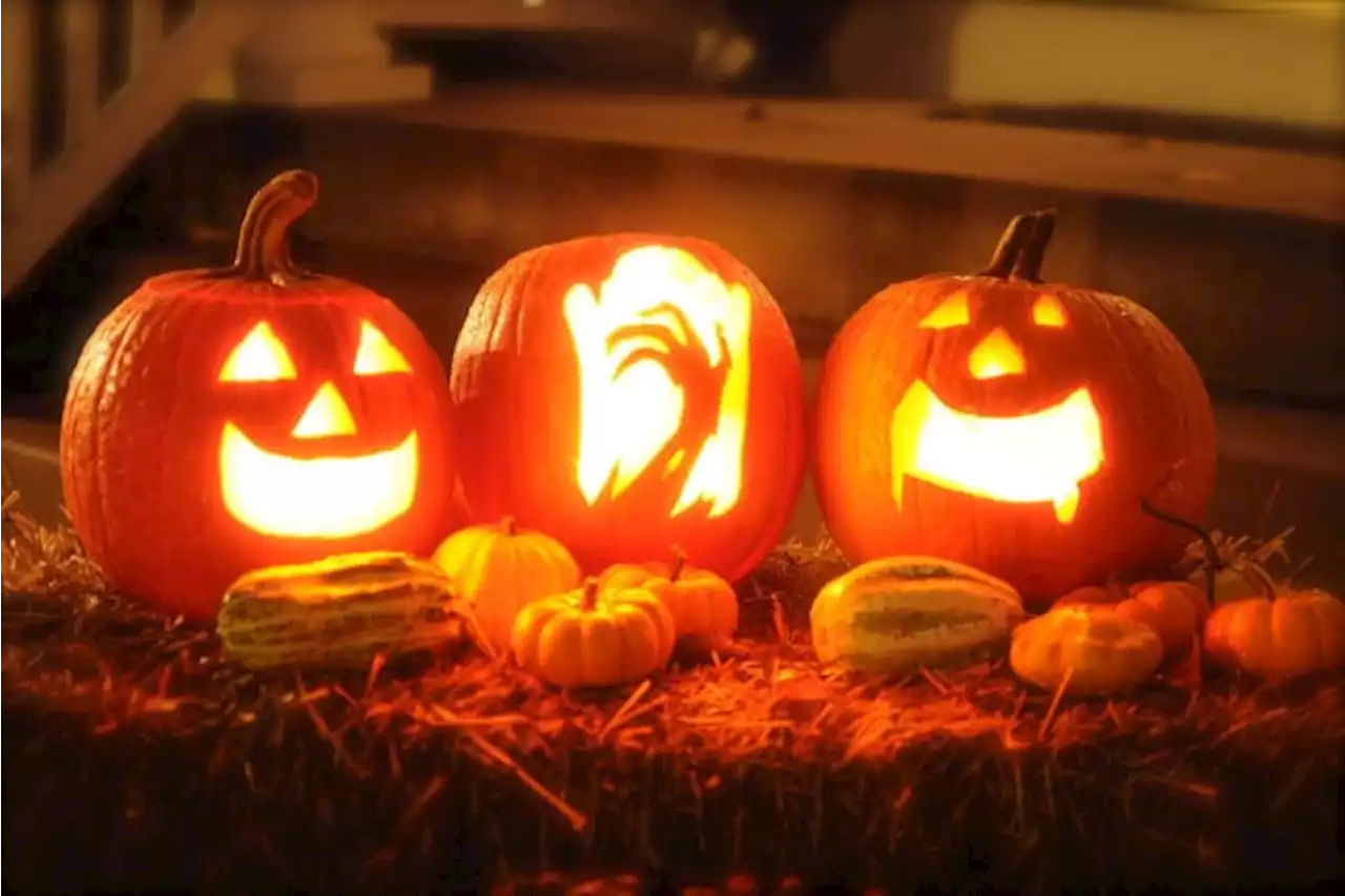 Vote for Jacksonville’s best pumpkin patch