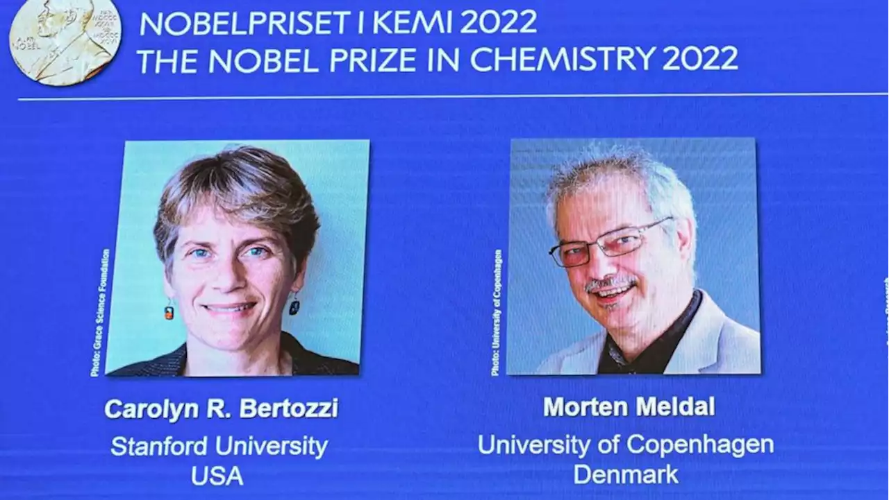 3 scientists win Nobel Prize in Chemistry for making molecules 'click'