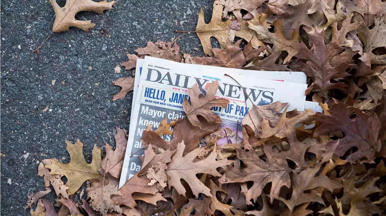 Scoop: New York Daily News plots local comeback