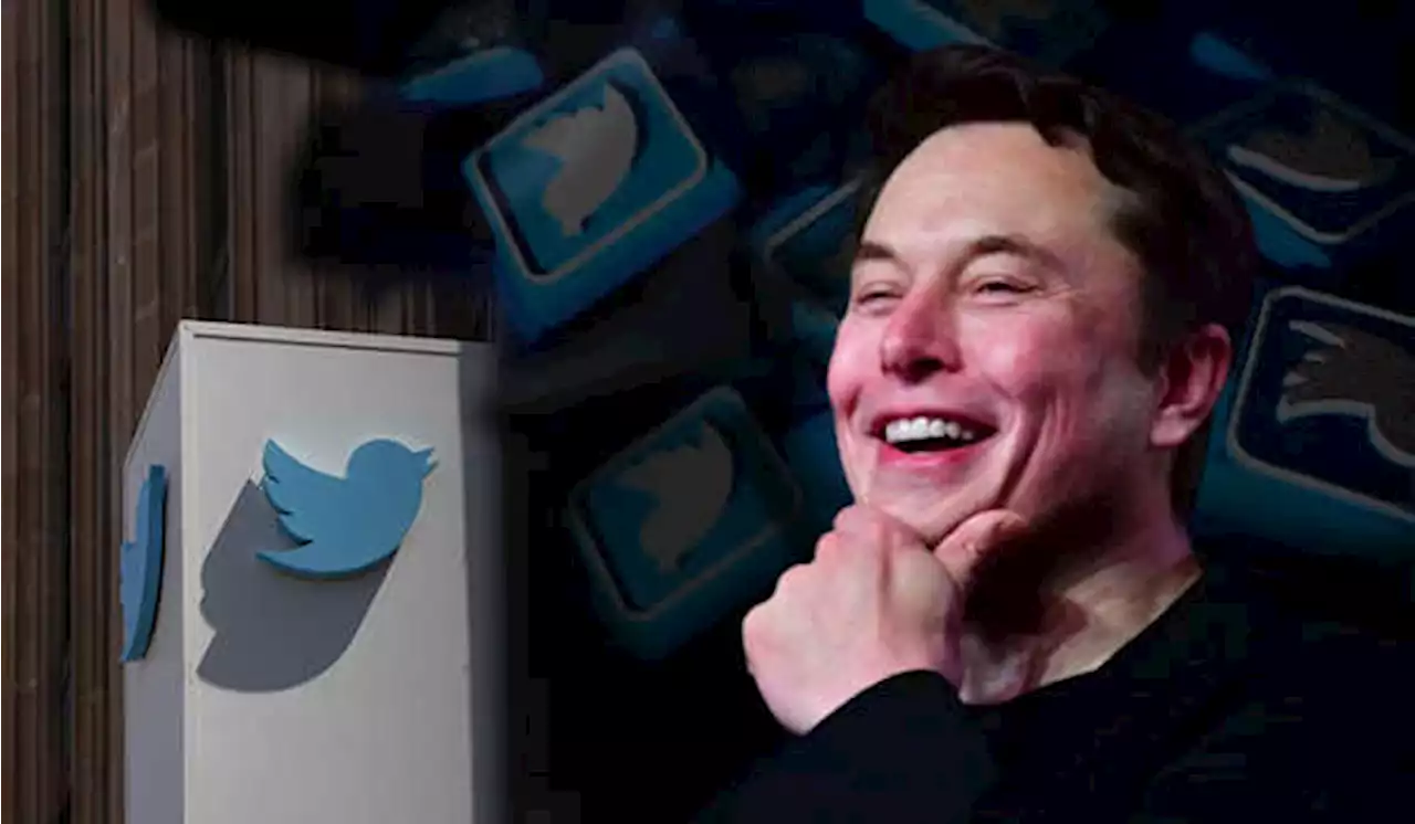 Musk Hidupkan Kembali Akuisisi Twitter, Sahamnya Naik 22%