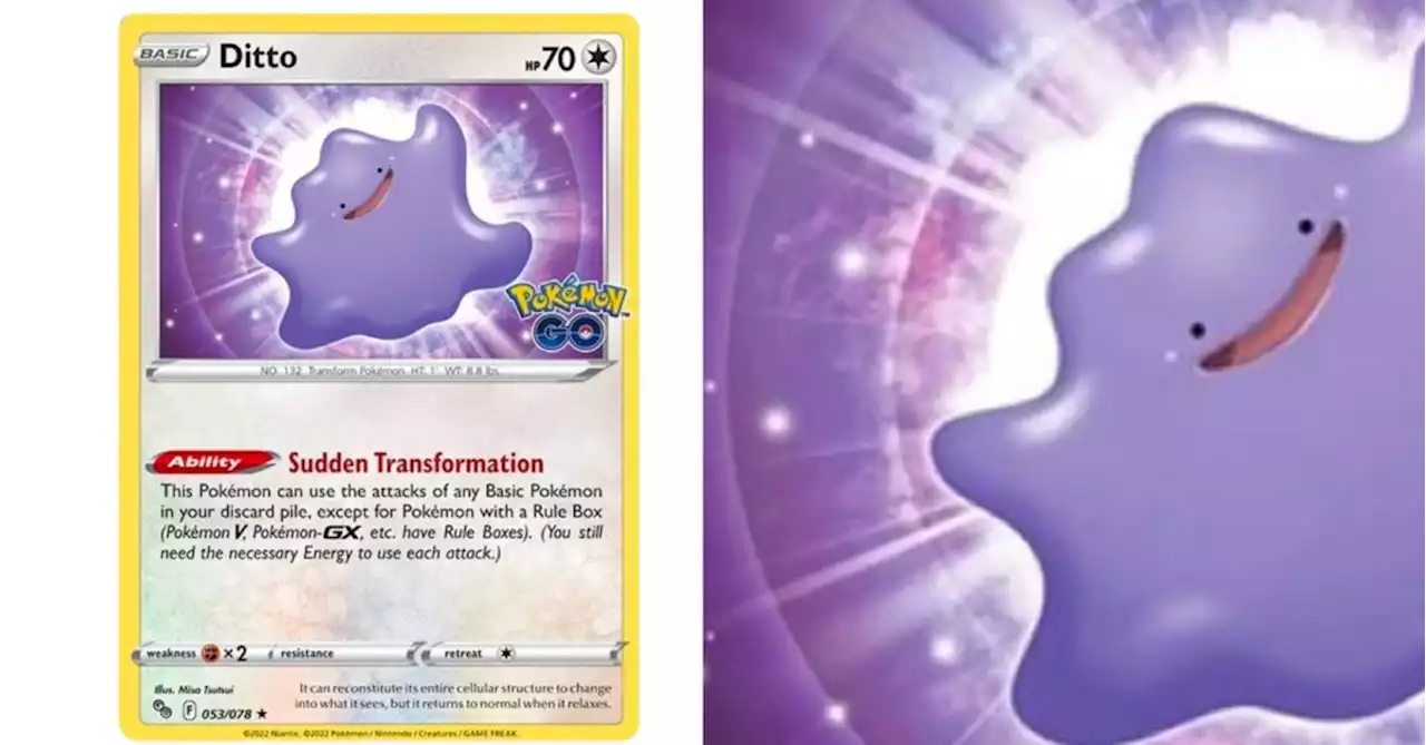 The Cards Of Pokémon TCG: Pokémon GO Part 17: Ditto