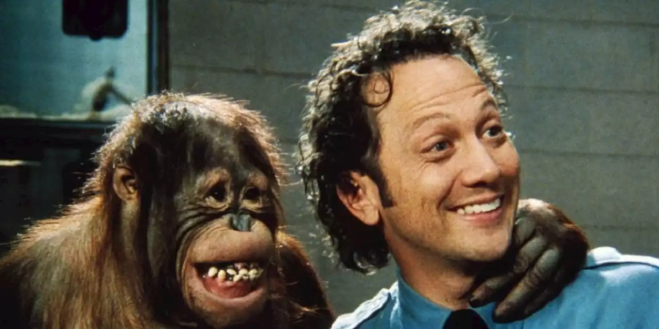 'The Animal 2' In the Works With Rob Schneider to Star and Direct