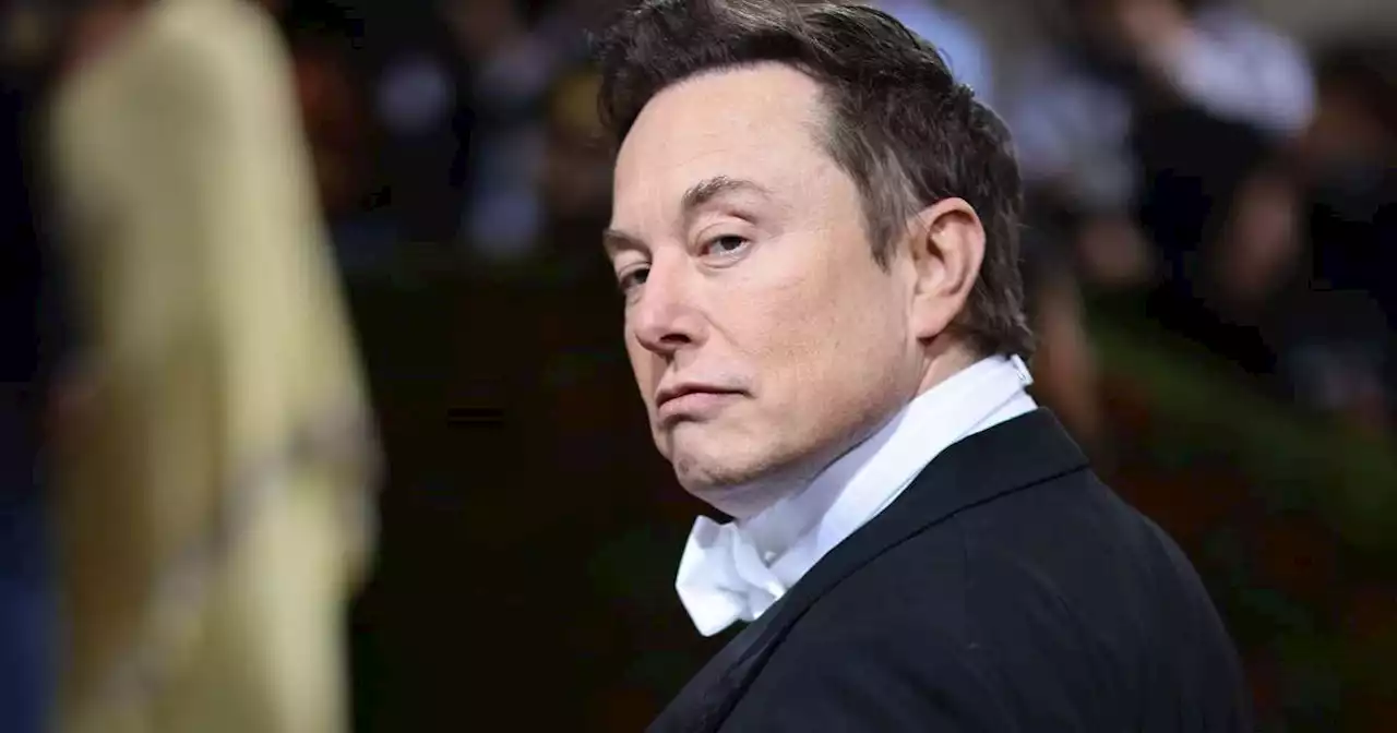 Volte-face. Tout compte fait, Elon Musk veut racheter Twitter… à moins que…