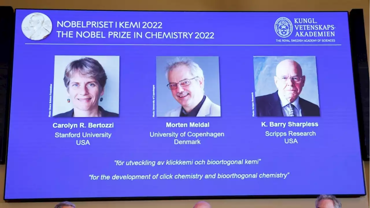 Nobel prize for 3 chemists who made molecules 'click'