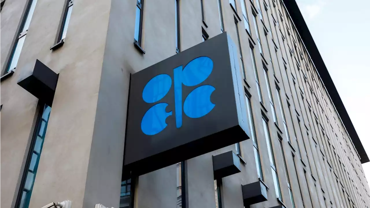 OPEC+ weighs large oil cutback to boost sagging prices