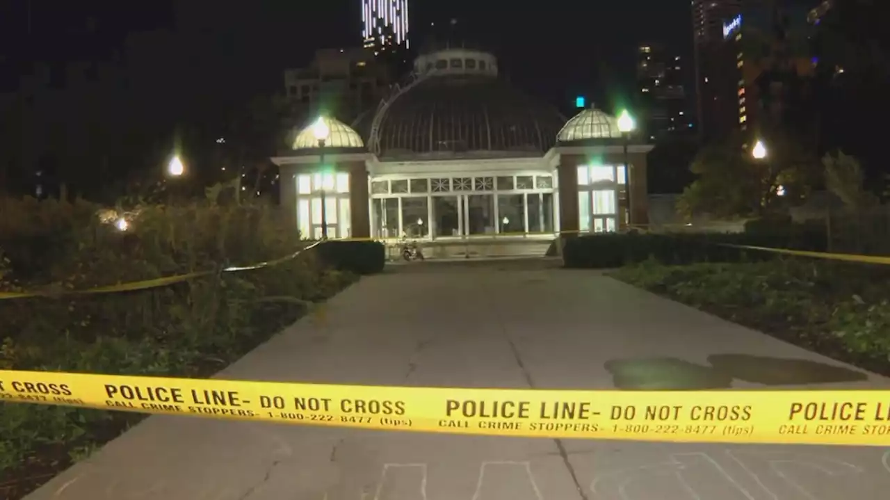 Toronto police investigating fatal stabbing in Allen Gardens park