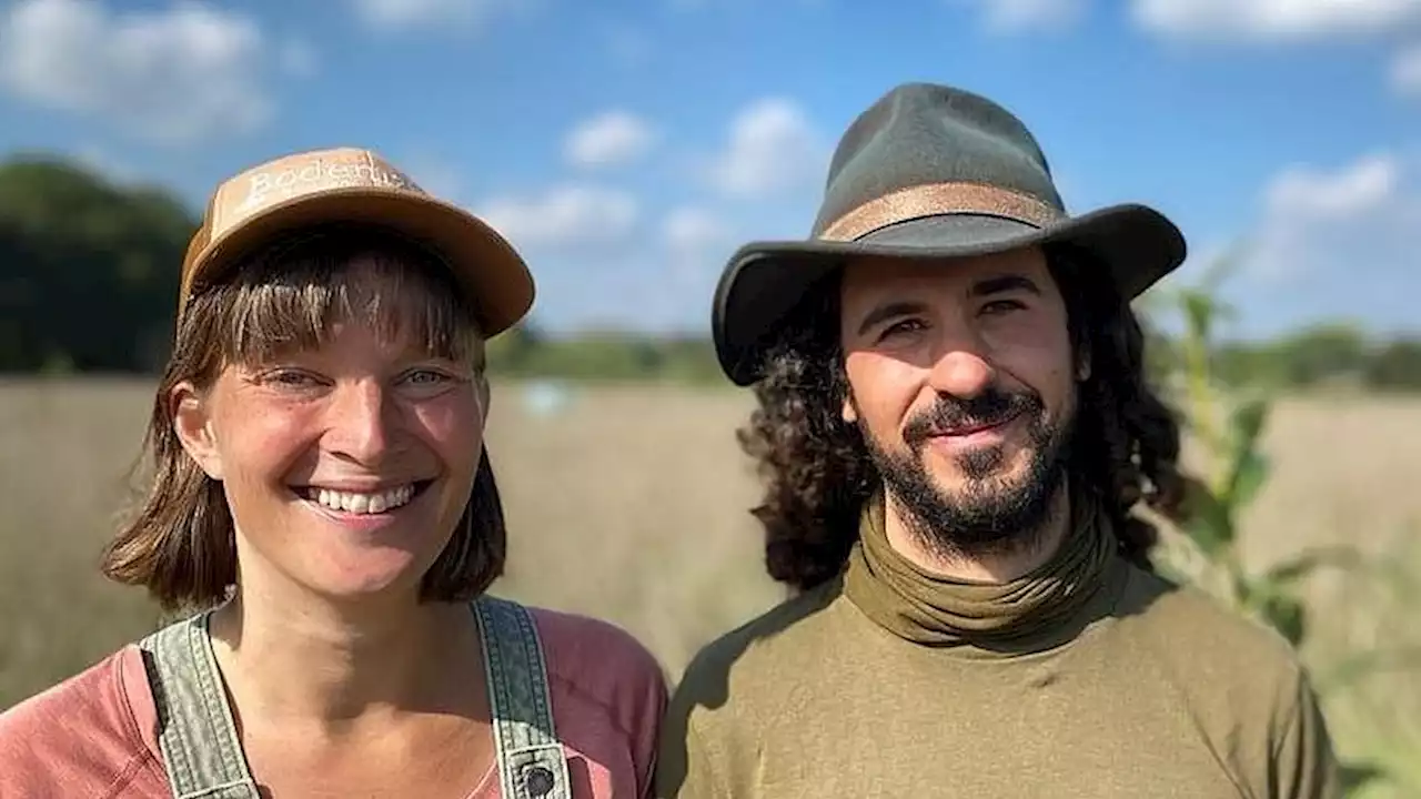 Bodem herstellen in plaats van uitputten, dat is regeneratief boeren waar Anne van leeft: 'Geen hobbyproject'