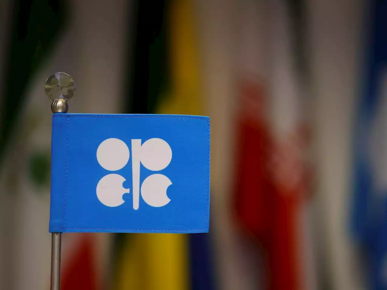 OPEC+ panel recommends two million-barrel cut to output limits