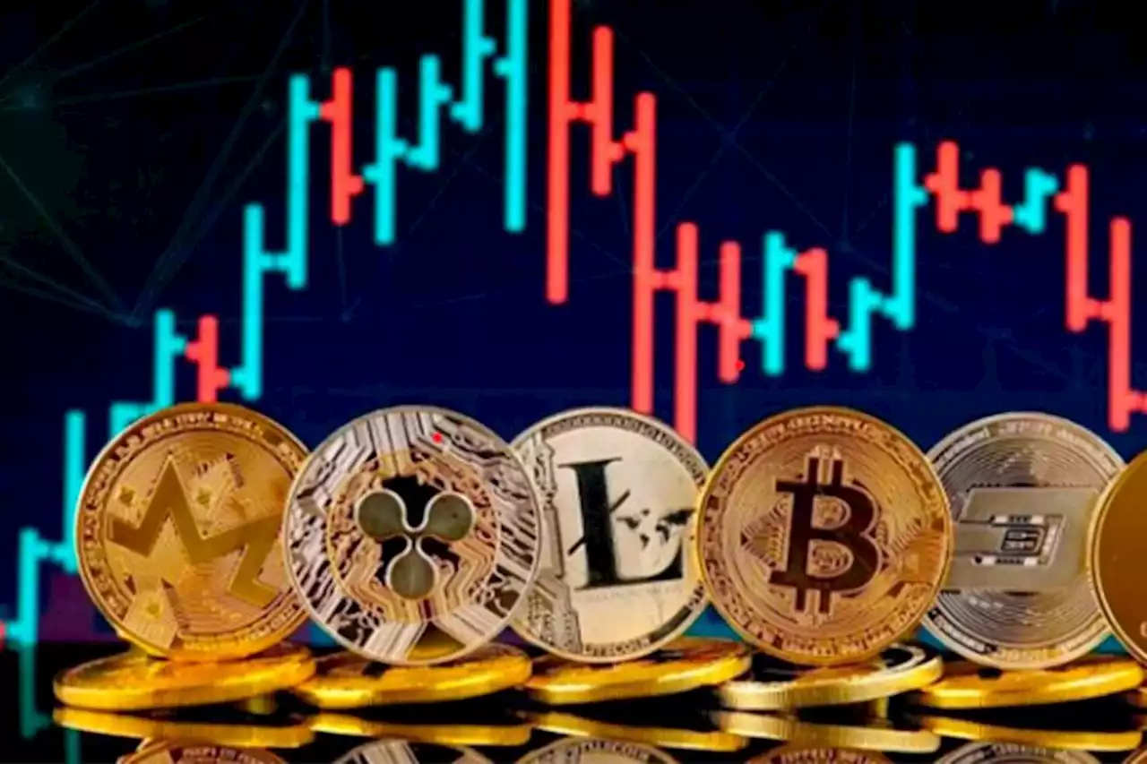 El ladrón que estafa a otro ladrón: hackean un sitio web dedicado a estafar con criptomonedas