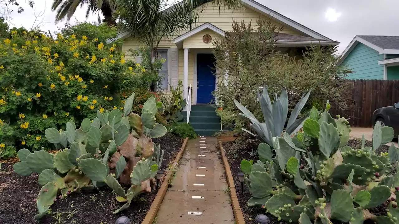 How to bring a beach vibe to your Texas Gulf Coast garden