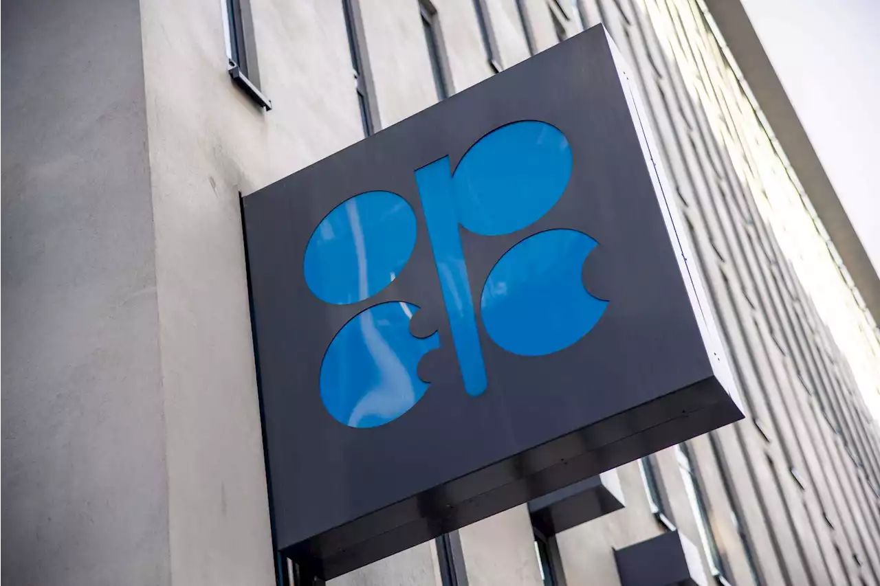 OPEC+ to cut output by 2 million barrels a day