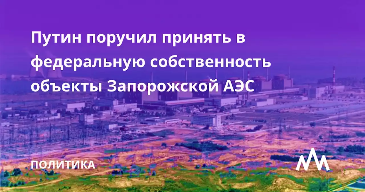 Путин поручил принять в федеральную собственность объекты Запорожской АЭС