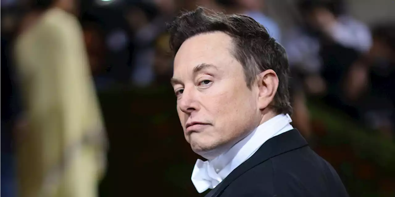 Ora Elon Musk vuole di nuovo comprare Twitter - Il Post