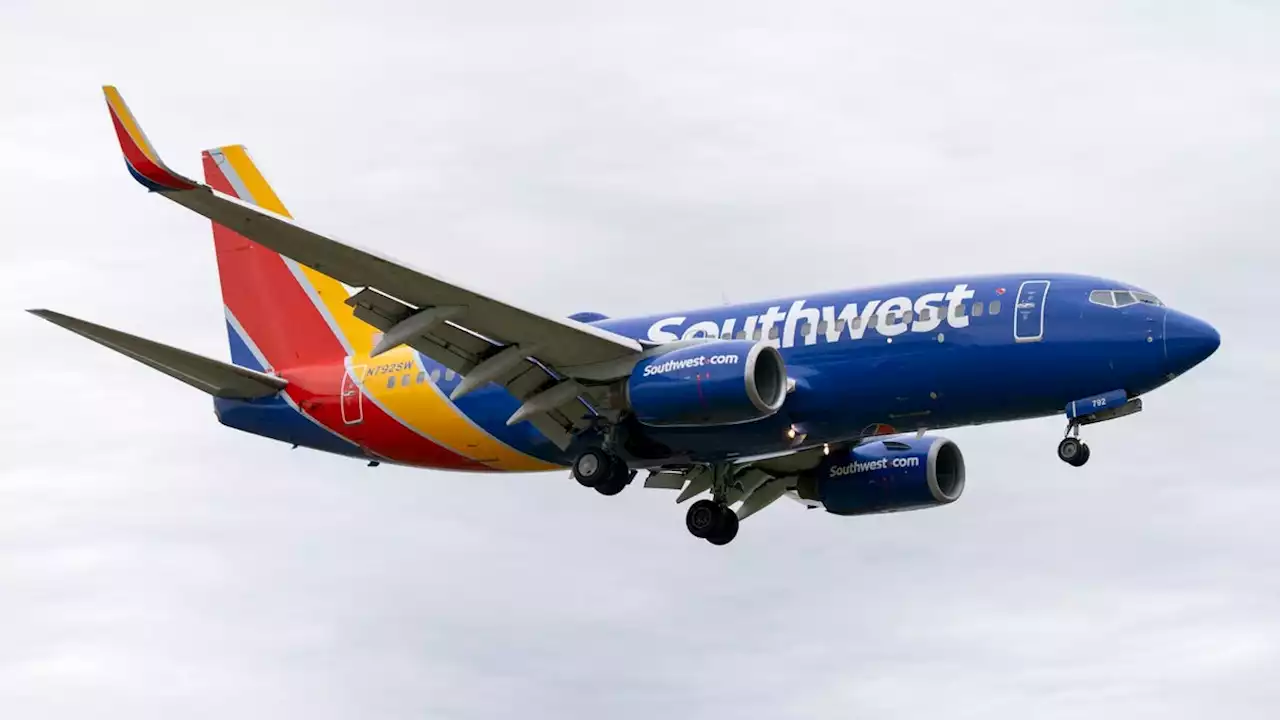 $29 flights available on Southwest for this winter